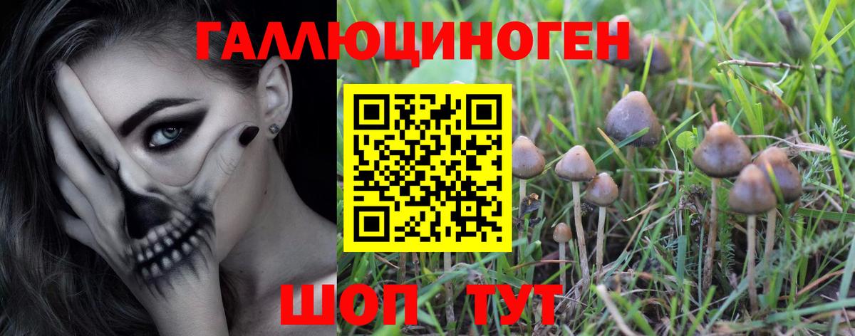 Кизляр  Псилоцибиновые грибы Psilocybe  Вход с VPN  Галлюциногенные грибы Magic Shrooms 